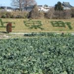 川の土手に「上泉町」