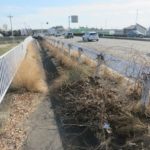 駒形神社へ初詣