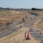 春の桃ノ木川サイクリングロード