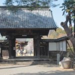 慈眼寺のしだれ桜