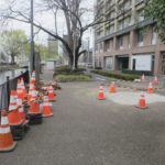 広瀬川河畔の緑地整備工事が始まっています