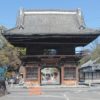 玉村町の玉村八幡宮へ