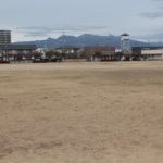 六供町天神公園のミモザ