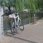 広瀬川沿いは新緑が芽吹き