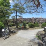 今年の藤は早いのかな